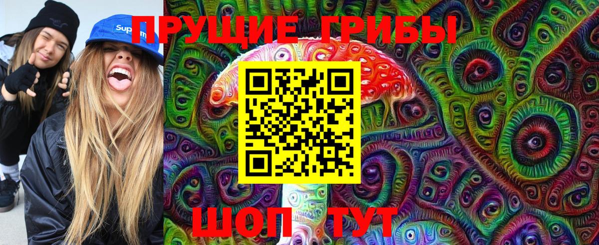 Кисловодск  Галлюциногенные грибы GOLDEN TEACHER  Вход с VPN 
