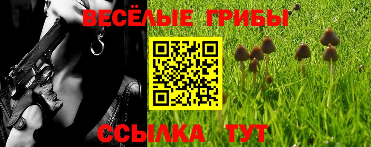Псилоцибиновые грибы Magic Shrooms Кисловодск